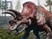 Prime 3D Puzzles - Discovery Triceratops 48 PcsPuzzle With Plush