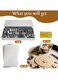 Mini Cookie Cutter Set, Small Stainless Steel Biscuit Mold with 10Pcs Gift Bag