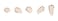 Jane Iredale, The Skin Care Make Up, Pure Pressed Base Mineral Foundation SPF 20, Ivory, 9.9 Grams