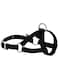Weaver Leather Livestock Llama Halter, Black, Small