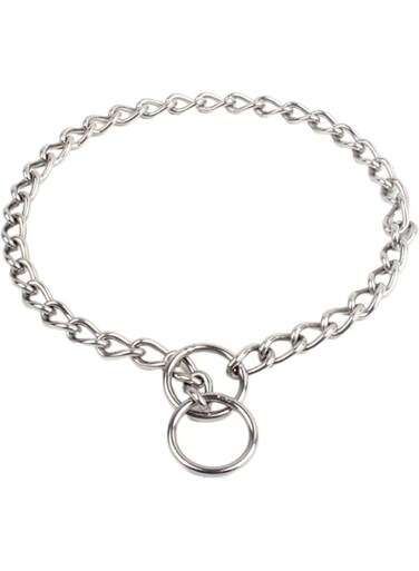Dog Choke Collar Slip P Chain,Heavy Chain Dog Metal Training Choke Collars, Adjustable Necklace for Small Medium Large Dogs (Silver, 2.5mm*50cm)