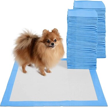 100Pcs Pet Pee Pads Disposable Absorbent Quick Drying Pads For Potty Training 45 X 33Cm, Blue,S