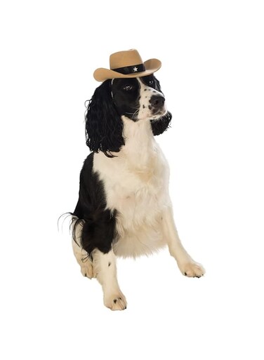 Rubie's Official Pet Dog Costume, Cowboy Hat - Small to Medium
