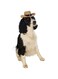 Rubie's Official Pet Dog Costume, Cowboy Hat - Small to Medium