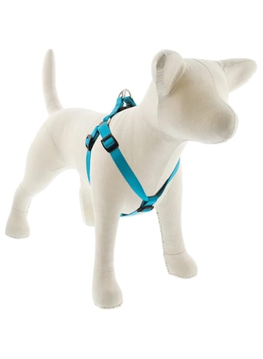 Lupine Basics 3/4 in Aqua Step-In Harness 20"-30", 51-76cm