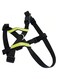 M Pets Safety Harness (L)