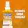 Chloraseptic Fast Acting Warming Sore Throat Spray, Honey Lemon Flavour, 177ml