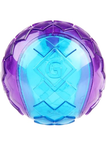 Gigwi Ball Squeaker Transparent, Purple/Blue, Medium