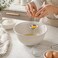 FITTO Egg Separator - Stainless Steel Wire Handle, Silver, 17 x 5 cm
