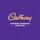Cadbury Original Chocolate Flavour Cocoa Powder, 125g