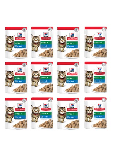 Hill's Science Plan Tender Chunks &amp; Gravy Kitten Ocean Pouches (85g x 12 Pcs ) - 1 Box