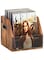 TAYGUM Vinyl Record Storage, Vinyl Record Box Case Crate, Vinyl Record Album Holder, Desktop Metal &amp; Wooden LP Record Crate, Holds up to 60 Records