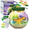 ESSEN Dinosaur Terrarium DIY Craft Kit for Kids Boys with Light &amp; Remote