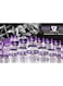 Dennis James Signature Series Whey Protein Matrix 5lbs - Advanced Muscle Building Formula (Coffee)