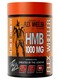 Flex Wheeler Nutrition HMB 1000mg - Muscle Growth &amp; Recovery Support (90 Tablets)