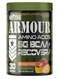 Warzone Armour Amino Acids BCAA Recovery 30 Servings - Muscle Repair, Growth &amp; Recovery (Orange Mango)