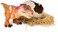 Interactive Hatching Dino, Multicoloured, 6072462