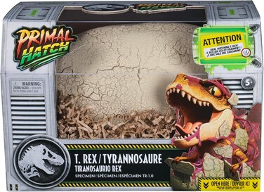 Interactive Hatching Dino, Multicoloured, 6072462