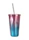 Wall Tumbler With Straw And Lid Purple/Blue 24cm
