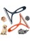 Oasisgalore 2pcs Pet Epilator For Carpets, Sofas, Pet Bed Blankets Carpet Scraper Tool Reusable Lint Remover Easy To Clean Fur Clothes For Dogs And Cats, Pet Towers, Portable Brushes For Car Interiors