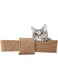 Roebii Natural Sisal Rope for Recovering Or DIY Cat Scratcher, Decorative Vase, Handrails (20m, 66 ft)