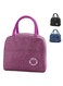 Tediline Lunch Bag Plain Pink Reusable Insulated, Waterproof Bag for Kids or Adults, Perfect for Lunch Boxes, Tiffin Boxes, Picnics, Work, or School