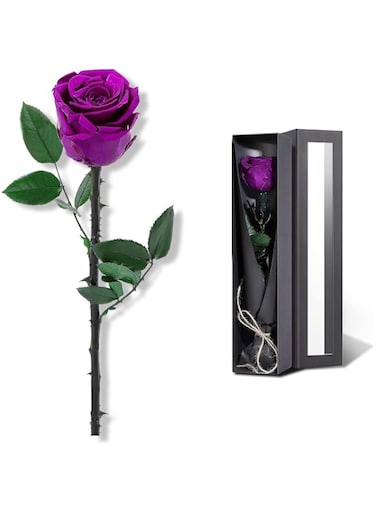 Xufeng Preserved Rose Eternal Enchanted Rose, Single Rose Flower Gifts for Women, Real Rose Gifts for Birthday, Valentines Flowers for Female (Purple)