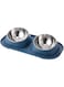 Sagreeny Tilted Cat Bowl Set Stainless Steel Cat Food and Water Dishes with Non-Spill Plastic Mat 2-in-1 Detachable Pet Feeder Bowls for Cats Puppy, Small Sized Dogs, Blue