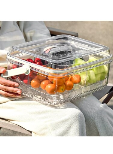 Ice Chilled Divided Serving Tray with Lid and handle Crystal Clear Large Fruit Ice Serving Tray for Outdoor Picnic Travel beach - Ice Chilled Party Platter for Fruits Vegetables Appetizers Salad