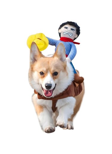 DELIFUR Dog Halloween Costume Funny Dog Cowboy Riding Costume Pet Costume Cat Suit Cowboy Rider Style for Small Medium Large Dogs (X-Small)