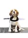OHANA Halloween Props Knife Harness for Pets, Cats, Dogs, Rabbit Costumes SMALL, Black, OPH-013, Pet