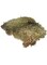 HOBBY Terrarium Decoration, Terrano Natural Moss