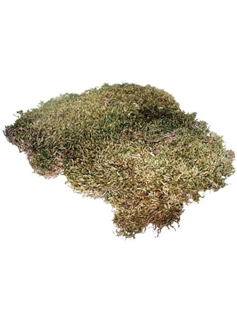 HOBBY Terrarium Decoration, Terrano Natural Moss