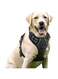 COOLBABY Dog Chest Strap Anti-pull Pet Chest Strap Adjustable Outdoor Pet Vest 3M Reflective Strip Oxford Fabric Material Dog Vest Easy To Control Suitable For Small Medium And Large Dog Black