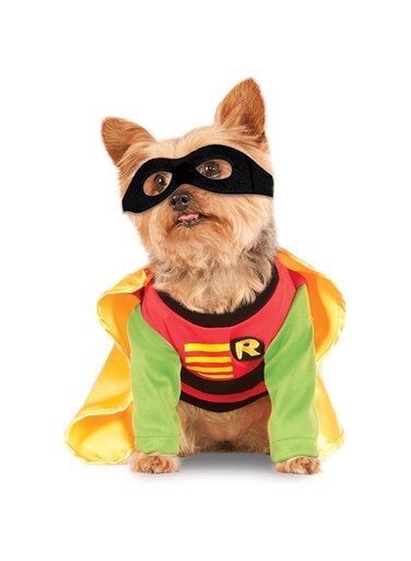 DC Comics Teen Titans Pet Costume, X-Large, Robin