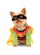 DC Comics Teen Titans Pet Costume, X-Large, Robin