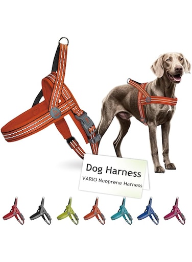 Doco DCV201S Vario Neoprene Harness, Small, Orange