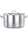Pradeep Professional Cook Pot, Silver - 20 X 12 cm