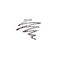Anastasia Beverly Hills Ebony' Brow Definer
