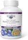 Natural Factors Bluerich Super Strength Blueberry Concentrate, 500 mg, 90 Softgels
