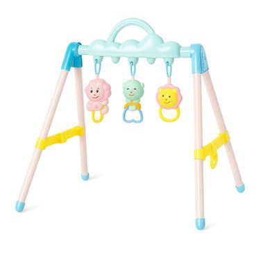 Factory Price Della Activity Baby Fitness Frame Play Gym