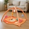 Factory Price Miles Activity Play Mat with Pillow- Lion