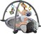 Factory Price Elephant Designed Activity Play Gym with Ball Pit