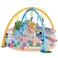 Factory Price Rylee 3 in 1 Activity Play Gym with Ball Pit - A