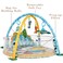 Factory Price Rylee 3 in 1 Activity Play Gym with Ball Pit - A