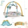 Factory Price Rylee 3 in 1 Activity Play Gym with Ball Pit - A