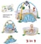 Factory Price Rylee 3 in 1 Activity Play Gym with Ball Pit - A