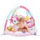 Factory Price Rylee 3 in 1 Activity Play Gym with Ball Pit - B