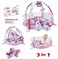 Factory Price Rylee 3 in 1 Activity Play Gym with Ball Pit - B