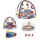 Factory Price Rylee 3 in 1 Activity Play Gym with Ball Pit - C